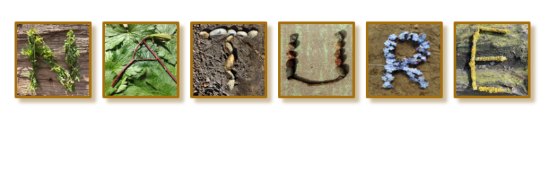 headerImage